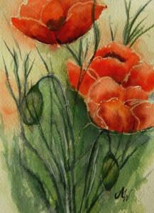 mohn01.jpg